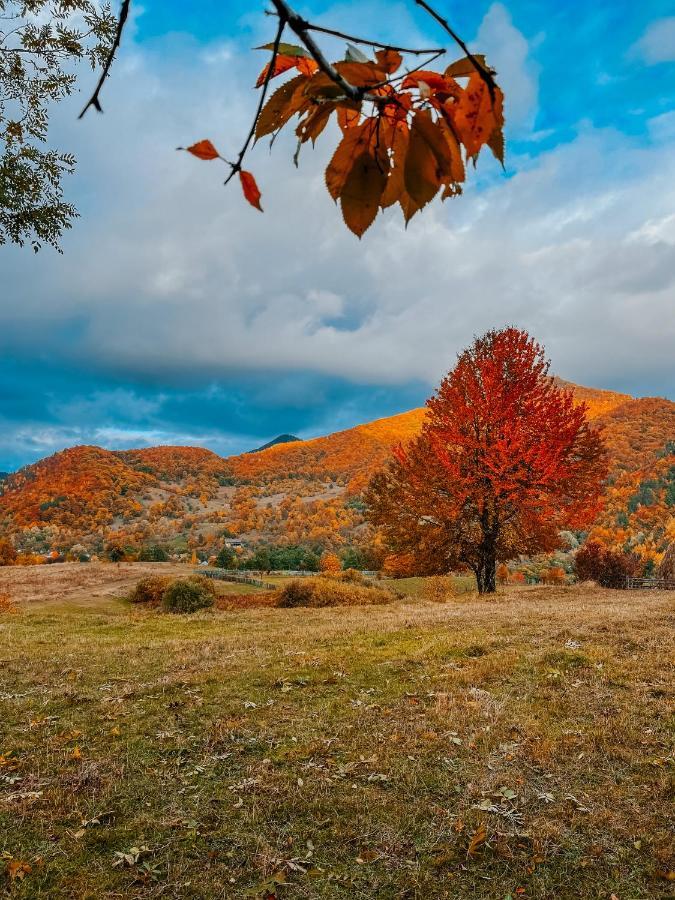 Roua By Noratlas Heritage - Adults Only Buzau Bagian luar foto